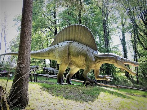 Spinosaurus | Tu web especializada en dinosaurios