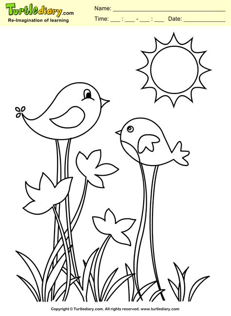 Spring Bird Coloring Sheet | Turtle Diary