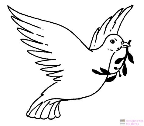 磊【+2750】Los mejores dibujos de palomas para colorear ️