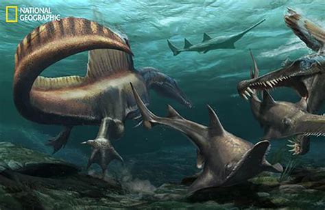 ‘Spinosaurus’, primer dinosaurio acuático encontrado | MUNDOS desde la ...