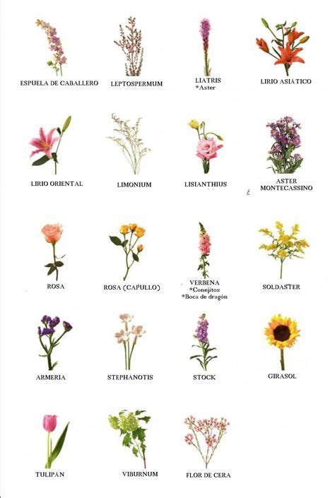 구입할 것 최고 인기 이미지 16개 | Gardening, Drawings 및 Flower arrangements