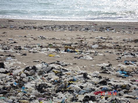 环境污染: 海洋污染