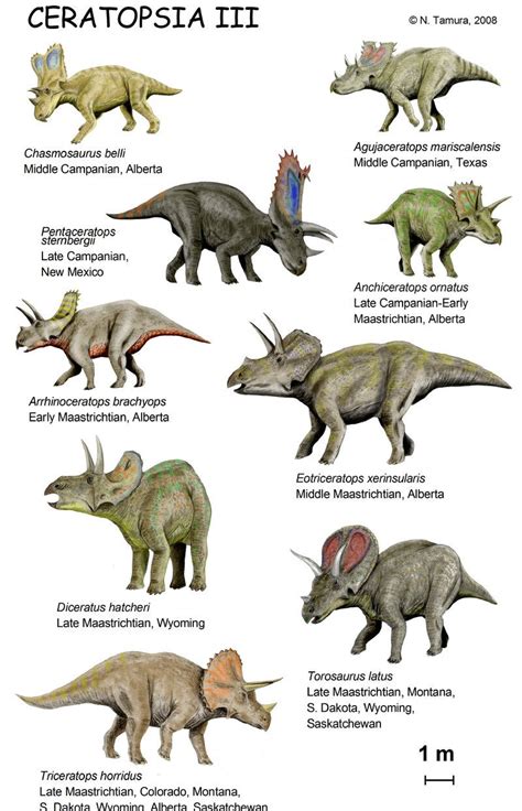 様々な角竜類 | Dinosaur / 恐竜 | 恐竜、古代生物、鳥