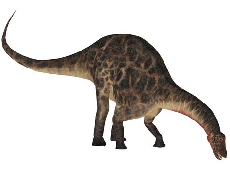 ディクラエオサウルス Dicraeosaurus  | 恐竜図鑑