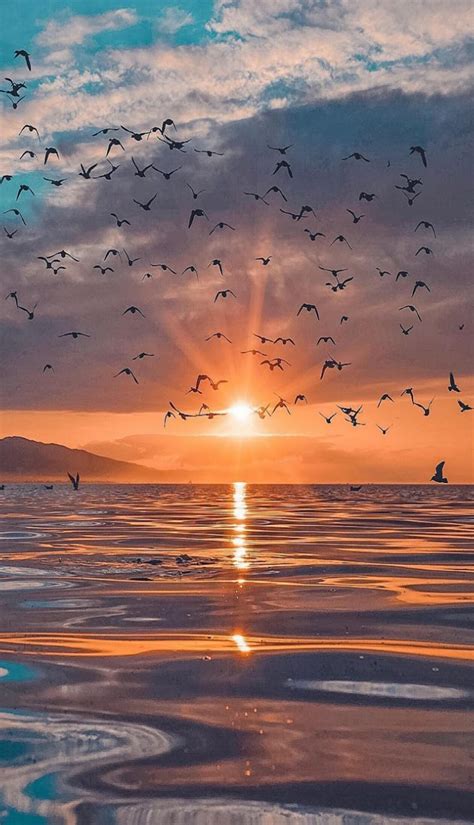 Фотография | Luv that Ocean & Sand en 2019 | Sunset ...