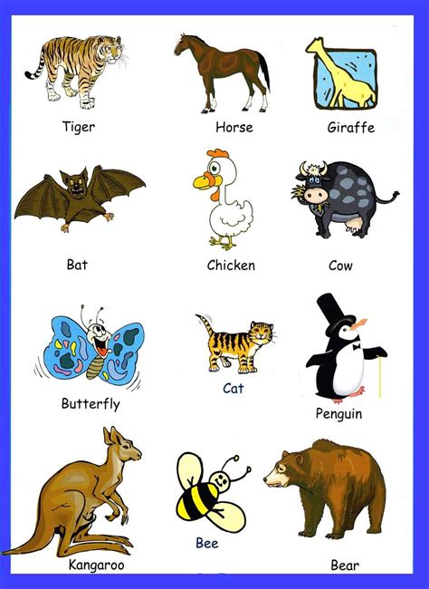 Английский online: English Vocabulary:  Animals   in pictures ...