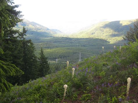 Stacy and Oscar Hunt: Waterfalls near Snoqualmie Pass