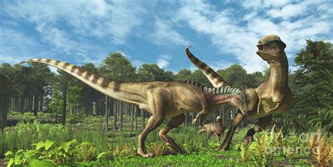 Stegoceras Dinosaurs Fighting Photograph by James Kuether ...