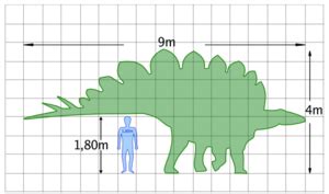 Stegosaurus – ZUM Grundschul Wiki