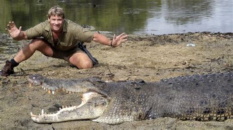 Steve Irwin:  cazador de cocodrilos  recibe doodle de Google como un ...
