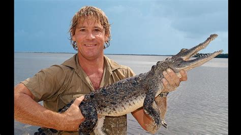Steve Irwin, el cazador de cocodrilos , habría estado drogado al ...