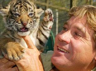 Steve Irwin  el cazador de cocodrilos  murió al ser atacado por una ...