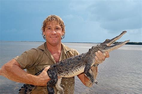 Steve Irwin, el  cazador de cocodrilos  que murió por una mantarraya ...