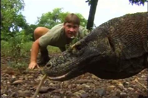 Steve Irwin, el “cazador de cocodrilos” que murió desangrado por el ...