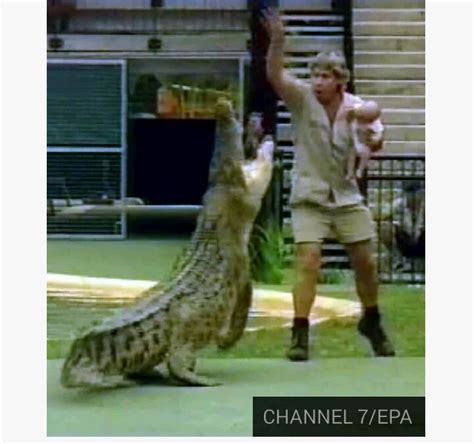 Steve Irwin, Known As The Crocodile Hunter, Dies In 2006   Pets   Nigeria