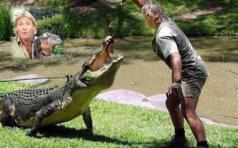Steve Irwin: Remembering the Beloved  Crocodile Hunter  on His Special Day