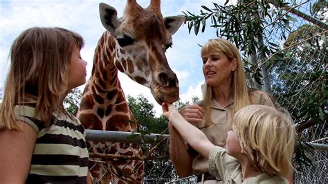 Steve Irwin s dream for Australia Zoo in tatters | The Advertiser