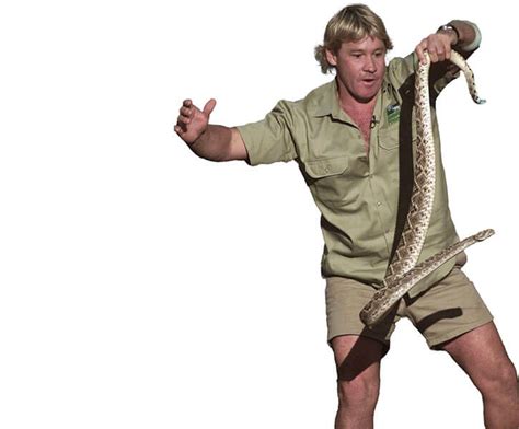 Steve Irwin the Crocodile Hunter   Character profile   Writeups.org