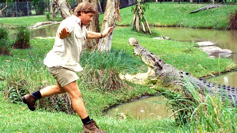 Steve Irwin: The Crocodile Hunter in his own words   ABC News ...