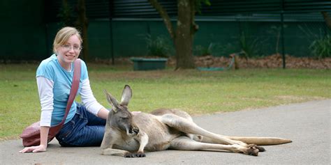 Steve Irwin’s Australia Zoo | Campervan Finder