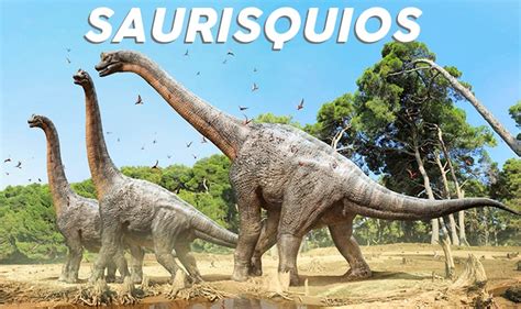 【Tipos de Dinosaurios】 La clasificación de Dinousaurios ...