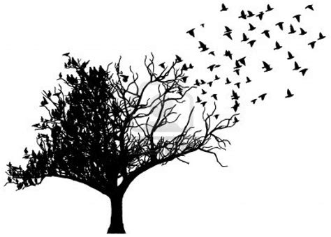 Stock Vector | Tree with birds tattoo, Bird tree, Black ...