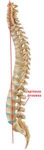 Stop Compressing The Bones Of The Lower Back