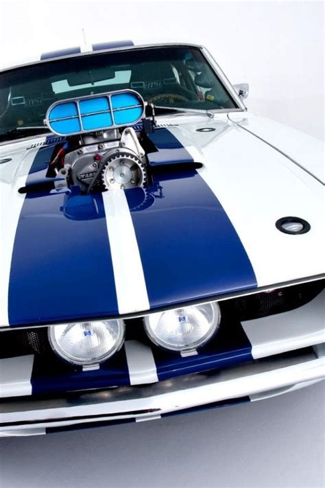 Stunning Shelby GT500 up close | Muscle cars, Mustang ...