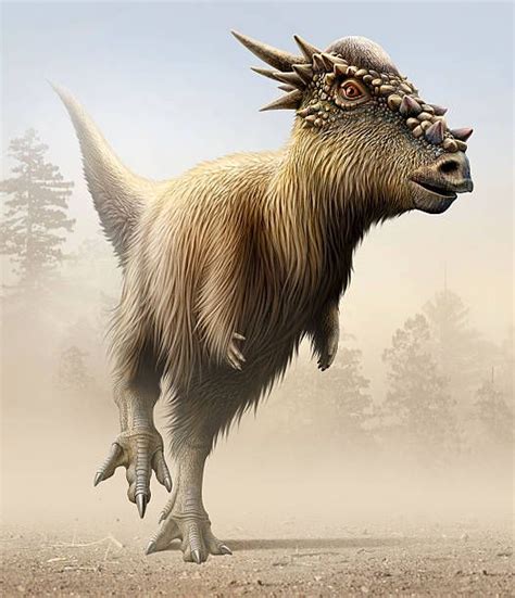 Stygimoloch es un género de dinosaurios pachycephalosaurid ...