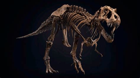 Subastan por 27 millones de euros el fósil del dinosaurio T. Rex Stan ...