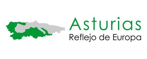 Subvención IDEPA   Desarrollos Metálicos Asturias S.L.