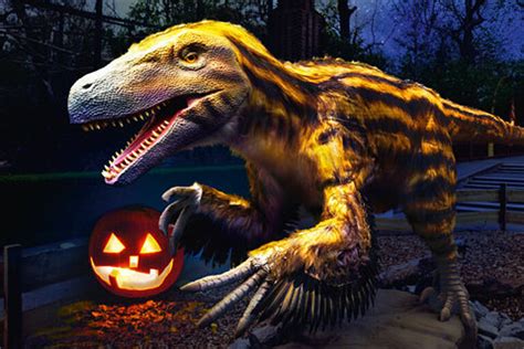 Südamerikanisches Halloweenspektakel im Zoo | Zoo Leipzig