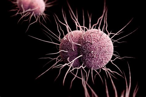 Super Gonorrhea | SexInfo Online