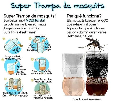 Súper trampa de mosquitos. | Trucos de limpieza, Mosquitos, Trucos