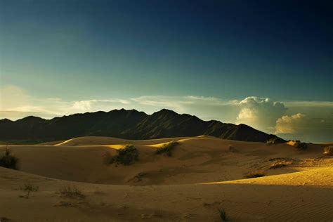 Surfeando las dunas del desierto de Samalayuca  FOTOS