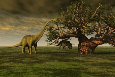 Surge nueva teoría sobre la extinción de los dinosaurios ...
