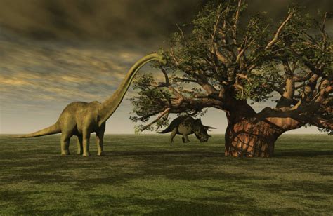 Surge nueva teoría sobre la extinción de los dinosaurios ...