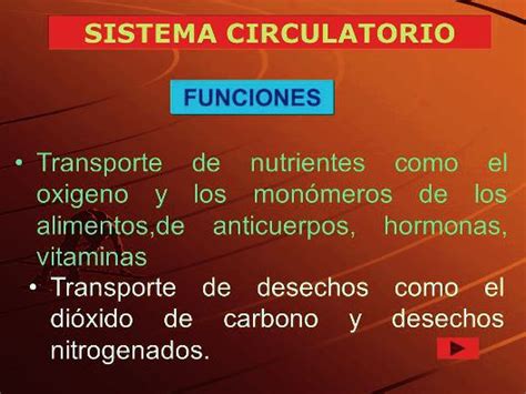 Sustancias que transporta el sistema circulatorio ...