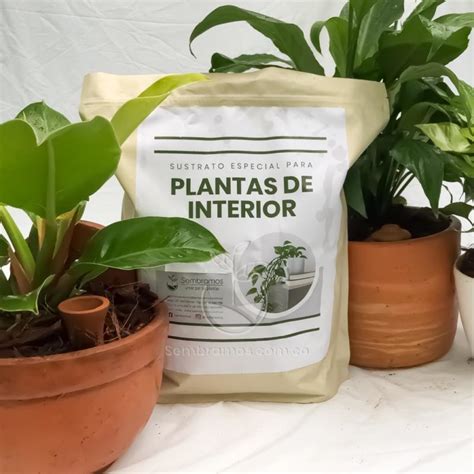 Sustrato para Plantas de Interior | Envios a toda Colombia | Sembramos
