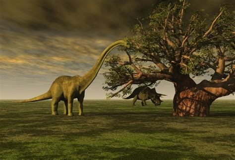 ‘Viajera del tiempo’ asegura que dinosaurios volverán a la Tierra ...