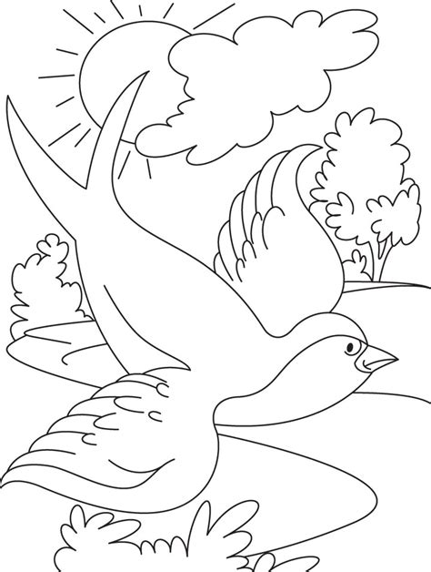 Swallow bird flying coloring page | Download Free Swallow bird flying ...