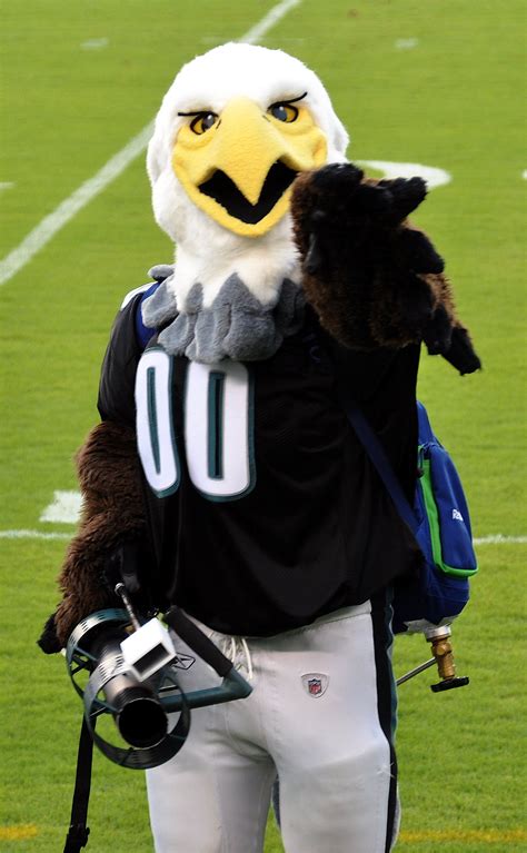 Swoop Philadelphia Eagles Wikipedia