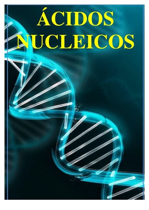 T 06 ácidos nucleicos 17 18