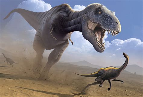 T Rex: cómo era realmente el rey de los dinosaurios   Muy ...