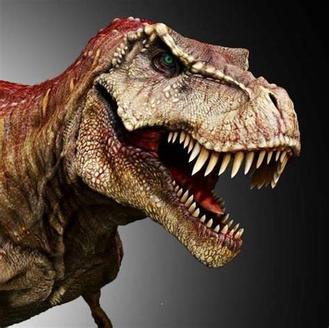 T Rex  head  | Fotos de dinossauros, Arte com tema de ...