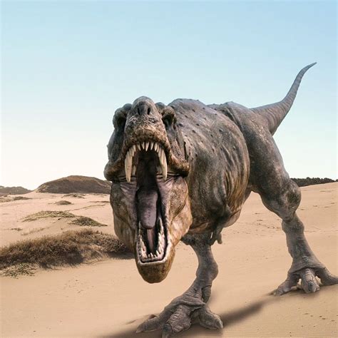 T Rex iPad Air wallpaper | Dinosaur pictures, Prehistoric ...