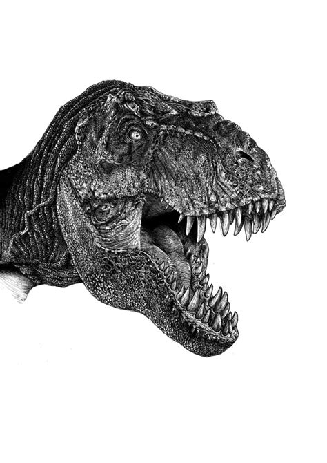 T.Rex por Eleacla | Dibujando