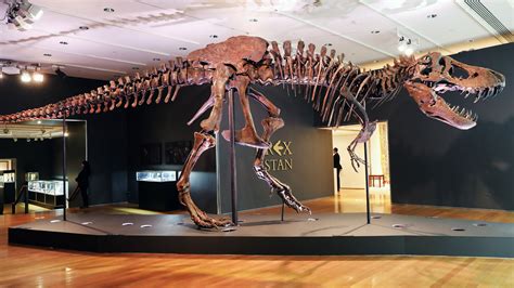 T. Rex Skeleton Brings $31.8 Million at Christie’s Auction ...