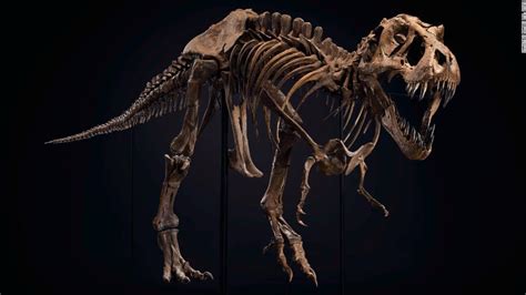 T. rex skeleton sells for $31.8 million setting new world ...
