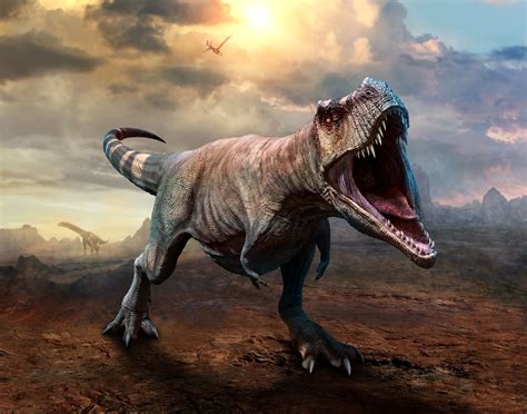 T. Rex Was a Fearsome Predator—but It Couldn t Stick out ...